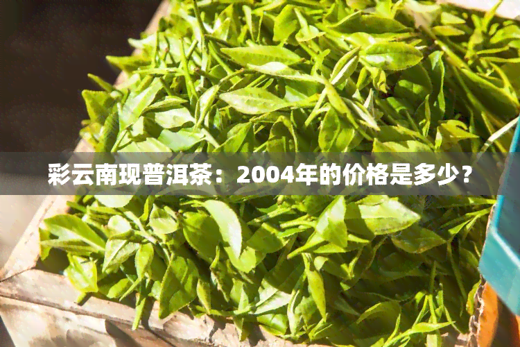 彩云南现普洱茶：2004年的价格是多少？