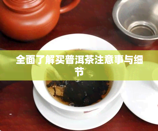 全面了解买普洱茶注意事与细节