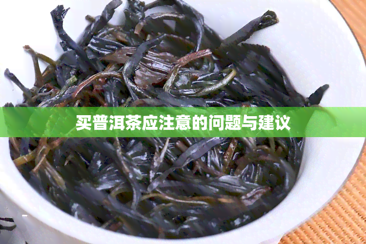 买普洱茶应注意的问题与建议