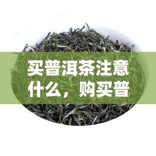 买普洱茶注意什么，购买普洱茶的注意事：一份全面的指南