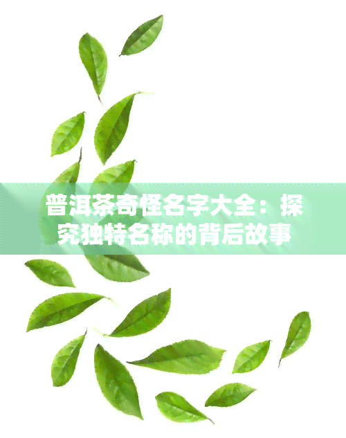 普洱茶奇怪名字大全：探究独特名称的背后故事