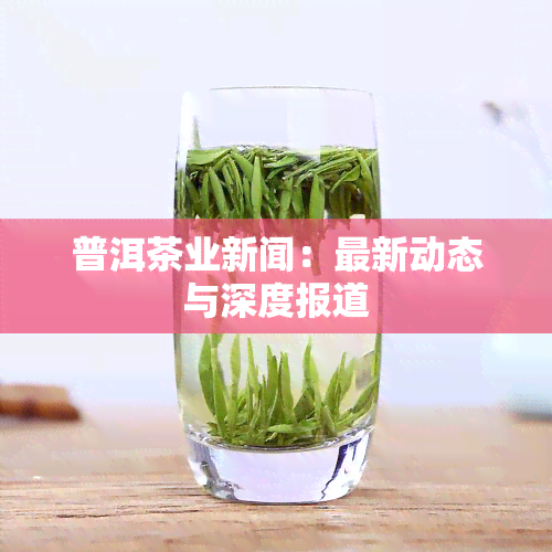 普洱茶业新闻：最新动态与深度报道