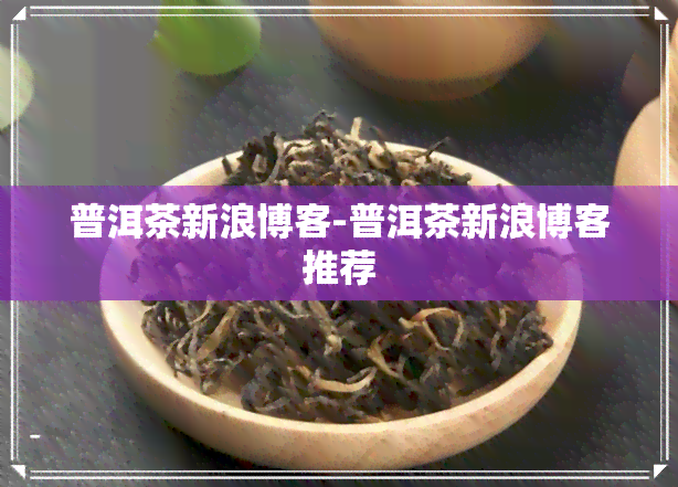 普洱茶新浪博客-普洱茶新浪博客推荐