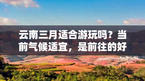 云南三月适合游玩吗？当前气候适宜，是前往的好时机！