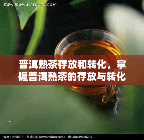 普洱熟茶存放和转化，掌握普洱熟茶的存放与转化技巧，让陈年老茶焕发新活力！