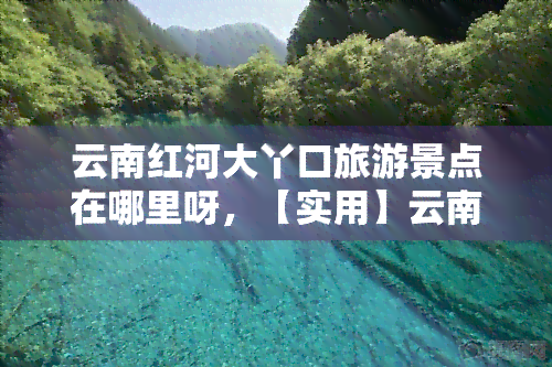 云南红河大丫口旅游景点在哪里呀，【实用】云南红河大丫口旅游景点地址详解