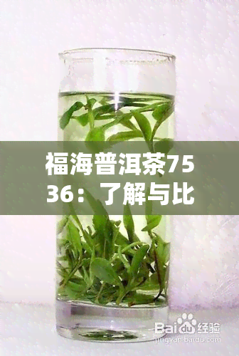 福海普洱茶7536：了解与比较7536和7576的价格