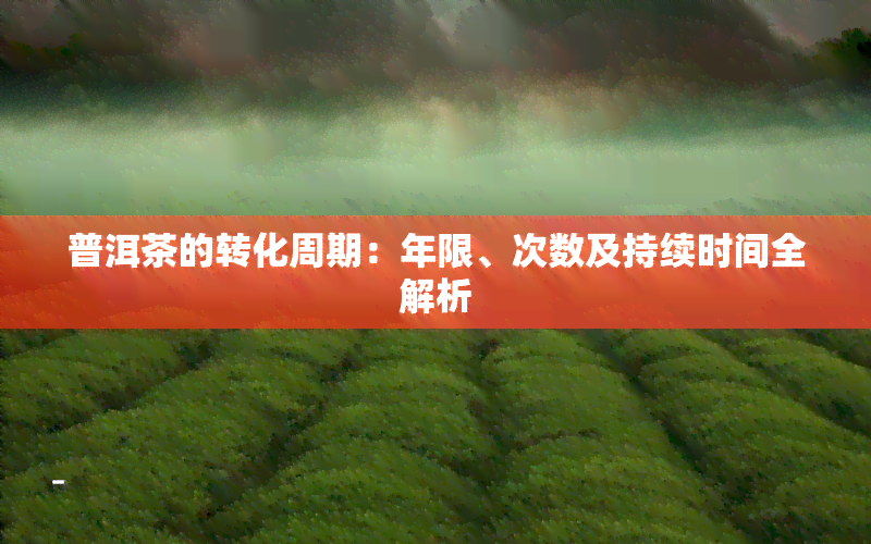 普洱茶的转化周期：年限、次数及持续时间全解析