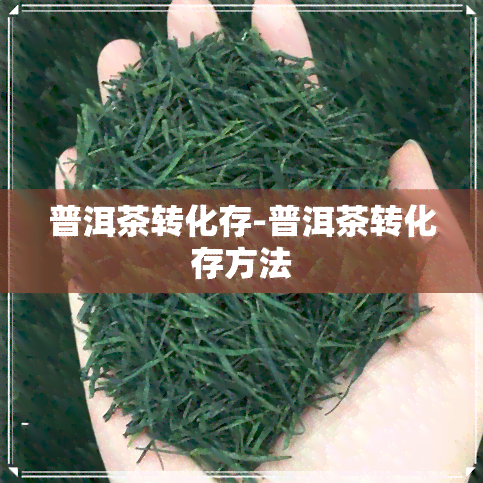 普洱茶转化存-普洱茶转化存方法