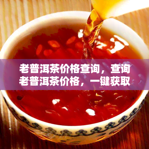 老普洱茶价格查询，查询老普洱茶价格，一键获取最新行情！