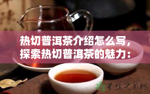 热切普洱茶介绍怎么写，探索热切普洱茶的魅力：一次深入的介绍