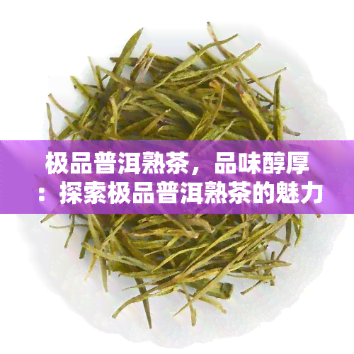 极品普洱熟茶，品味醇厚：探索极品普洱熟茶的魅力