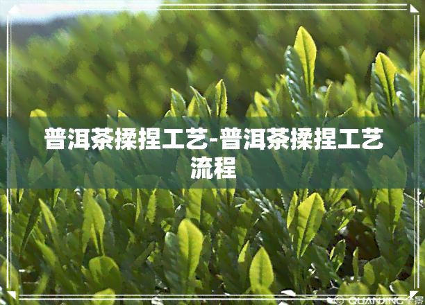 普洱茶揉捏工艺-普洱茶揉捏工艺流程