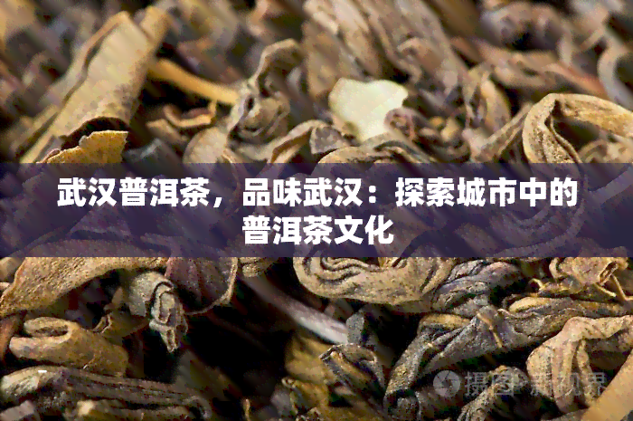 武汉普洱茶，品味武汉：探索城市中的普洱茶文化