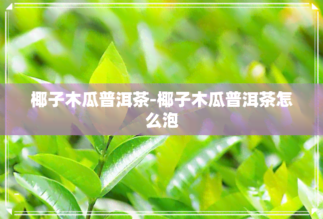 椰子木瓜普洱茶-椰子木瓜普洱茶怎么泡