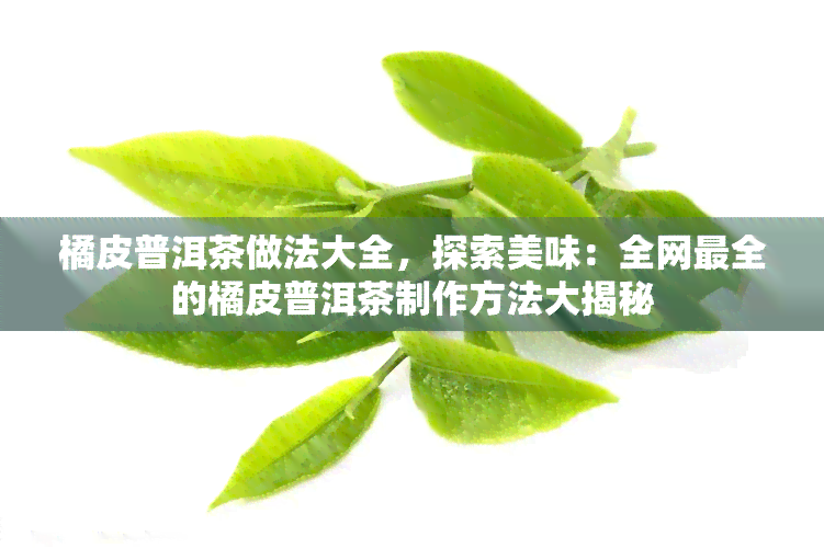 橘皮普洱茶做法大全，探索美味：全网最全的橘皮普洱茶制作方法大揭秘