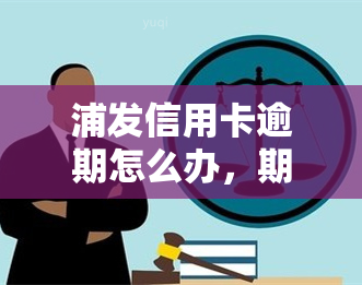 浦发信用卡逾期怎么办，期间遇到浦发信用卡逾期，应该如何处理？