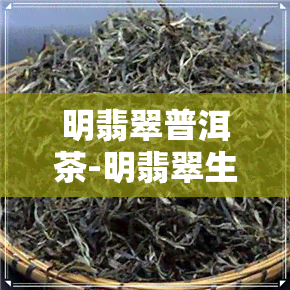 明翡翠普洱茶-明翡翠生茶