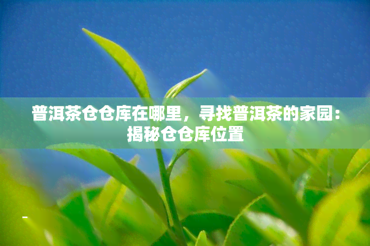 普洱茶仓仓库在哪里，寻找普洱茶的家园：揭秘仓仓库位置