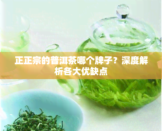 正正宗的普洱茶哪个牌子？深度解析各大优缺点