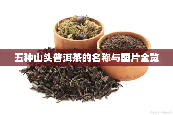 五种山头普洱茶的名称与图片全览