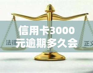 信用卡3000元逾期多久会被起诉？影响因素与可能结果解析