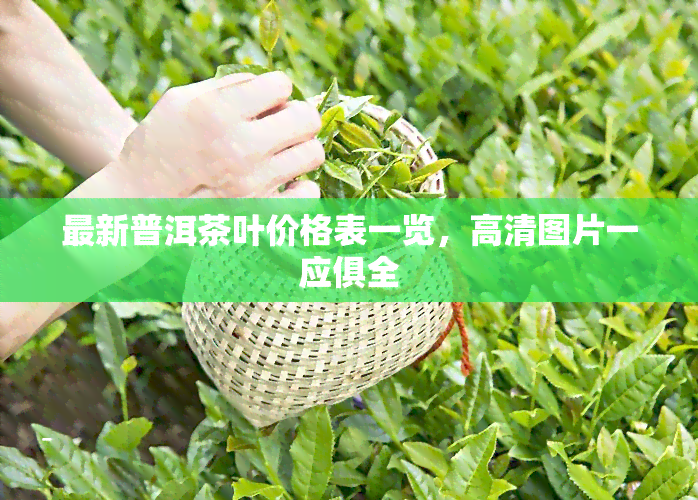 最新普洱茶叶价格表一览，高清图片一应俱全