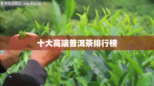 十大高端普洱茶排行榜