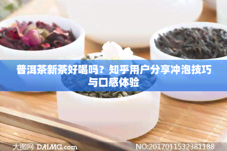 普洱茶新茶好喝吗？知乎用户分享冲泡技巧与口感体验