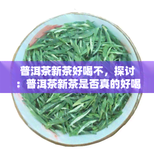 普洱茶新茶好喝不，探讨：普洱茶新茶是否真的好喝？