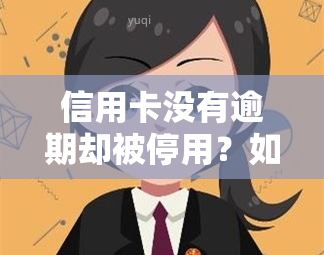 信用卡没有逾期却被停用？如何解决及申请分期付款？