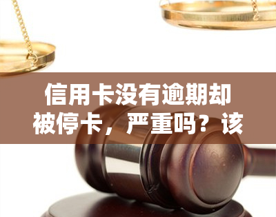 信用卡没有逾期却被停卡，严重吗？该如何解决？——知乎讨论