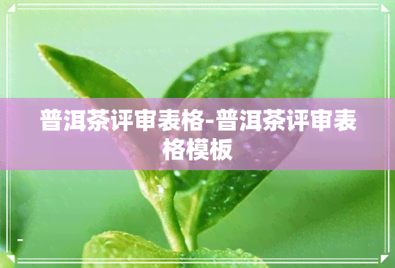 普洱茶评审表格-普洱茶评审表格模板