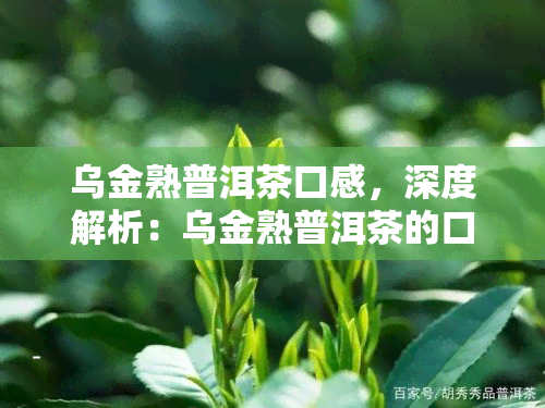 乌金熟普洱茶口感，深度解析：乌金熟普洱茶的口感特点与品鉴方法