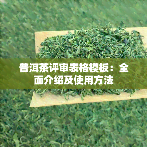 普洱茶评审表格模板：全面介绍及使用方法