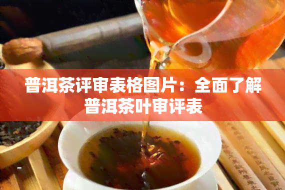 普洱茶评审表格图片：全面了解普洱茶叶审评表