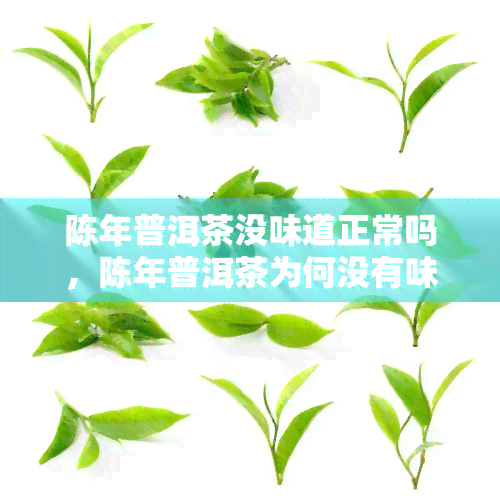 陈年普洱茶没味道正常吗，陈年普洱茶为何没有味道？是否正常？