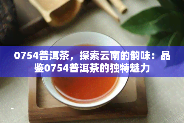 0754普洱茶，探索云南的韵味：品鉴0754普洱茶的独特魅力