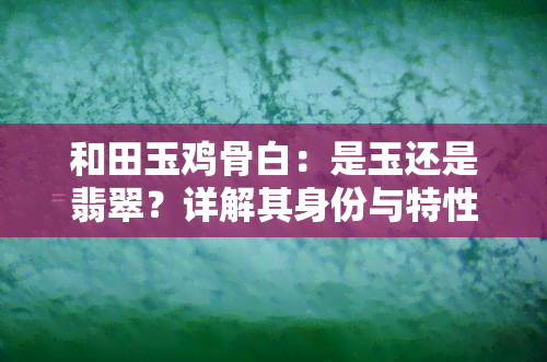 和田玉鸡骨白：是玉还是翡翠？详解其身份与特性