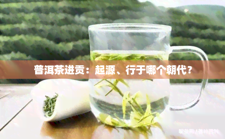 普洱茶进贡：起源、行于哪个朝代？