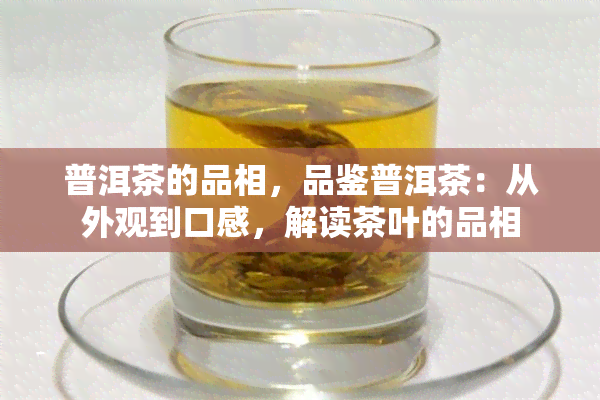 普洱茶的品相，品鉴普洱茶：从外观到口感，解读茶叶的品相