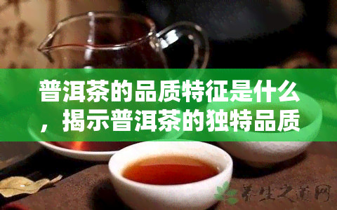 普洱茶的品质特征是什么，揭示普洱茶的独特品质特性