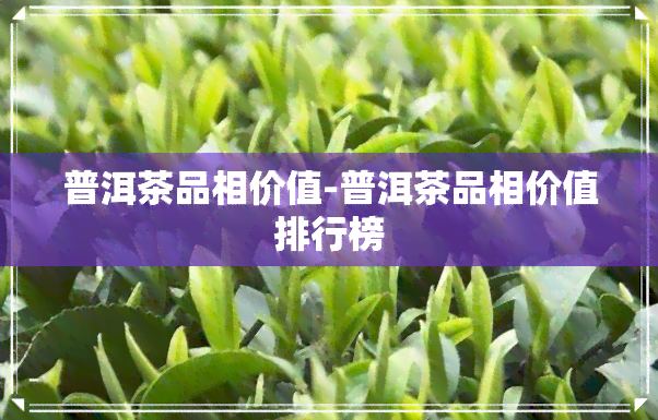 普洱茶品相价值-普洱茶品相价值排行榜