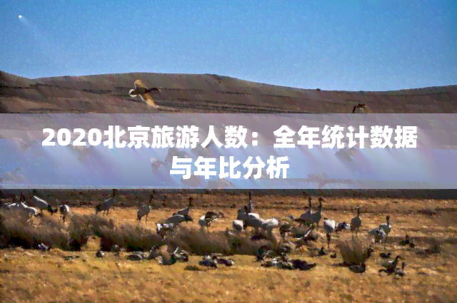 2020北京旅游人数：全年统计数据与年比分析