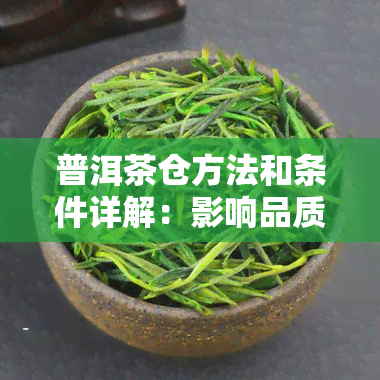 普洱茶仓方法和条件详解：影响品质的关键因素