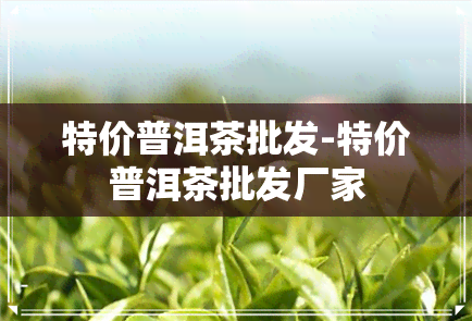 特价普洱茶批发-特价普洱茶批发厂家