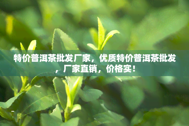 特价普洱茶批发厂家，优质特价普洱茶批发，厂家直销，价格实！