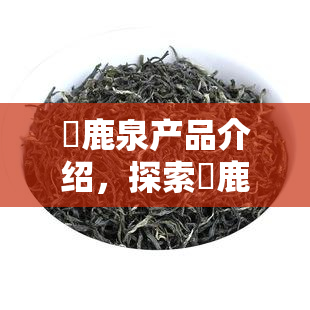 栢鹿泉产品介绍，探索栢鹿泉：产品介绍与特点解析