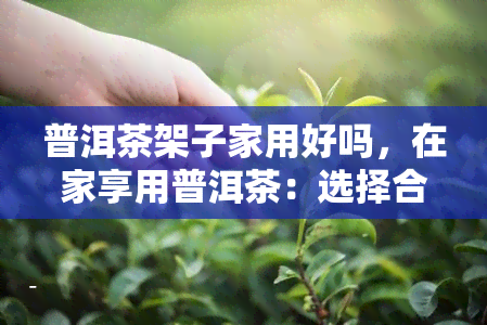 普洱茶架子家用好吗，在家享用普洱茶：选择合适的家用普洱茶架子建议