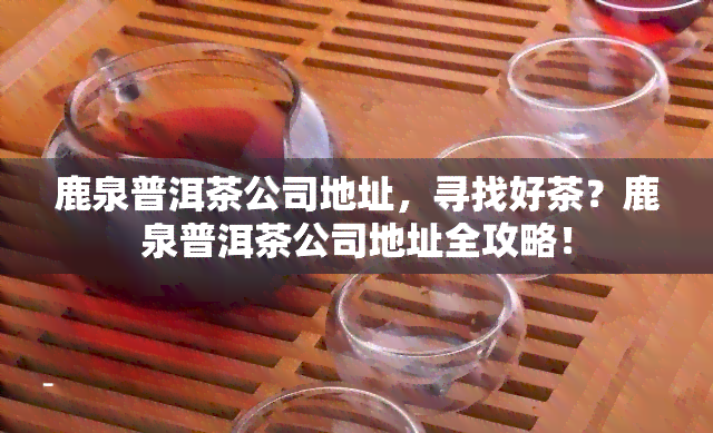 鹿泉普洱茶公司地址，寻找好茶？鹿泉普洱茶公司地址全攻略！